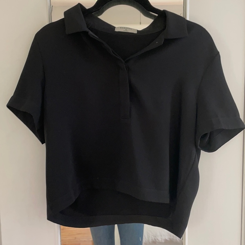 Aritzia Babaton Crop Collared Blouse XS